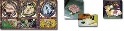Bonny's process images